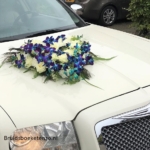 autobloemen blauw wit orchidee dendrobium rozen autobloemen blauw wit orchidee dendrobium rozen